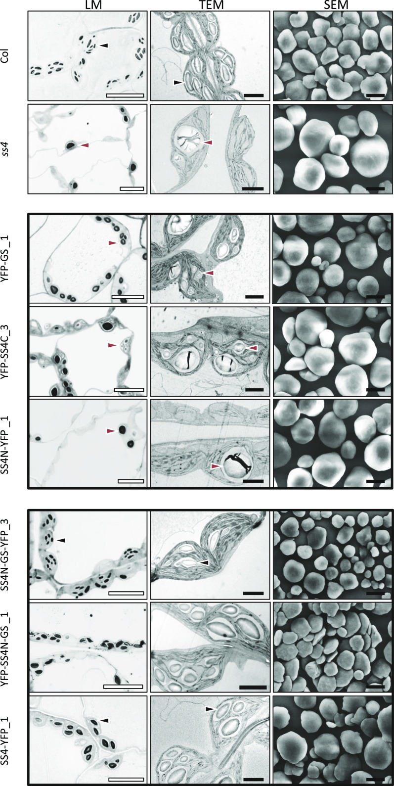 Figure 5.