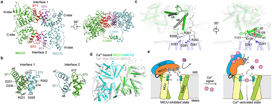 Figure 4 |