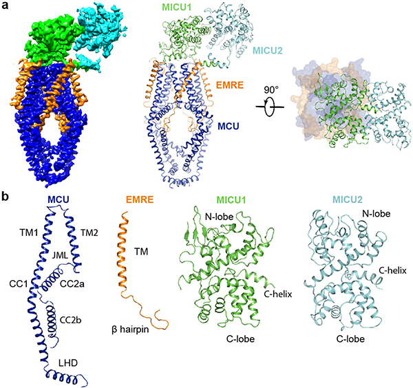 Figure 1 |