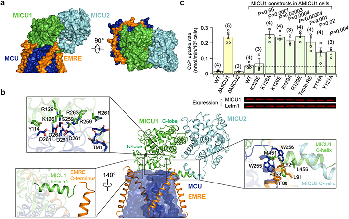 Figure 2 |