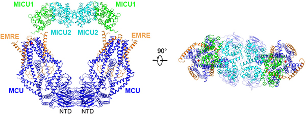 Figure 3 |