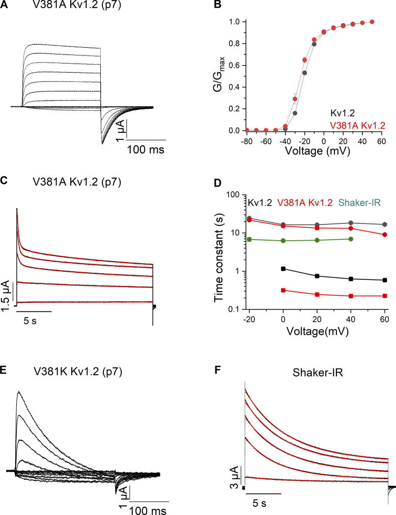 Figure 6.