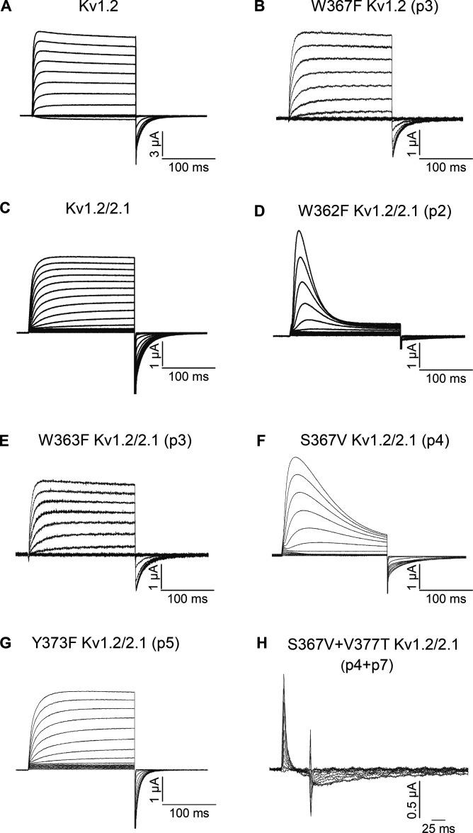 Figure 7.