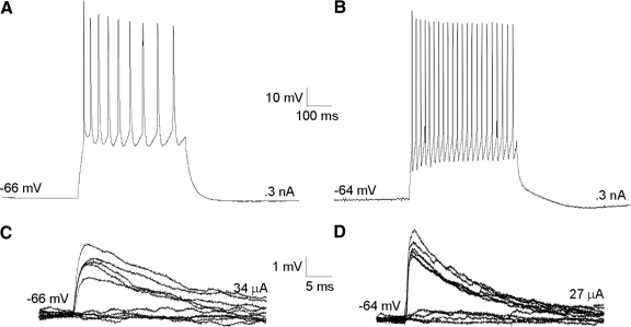 FIG. 4.