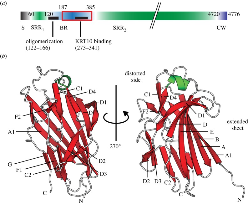 Figure 1.