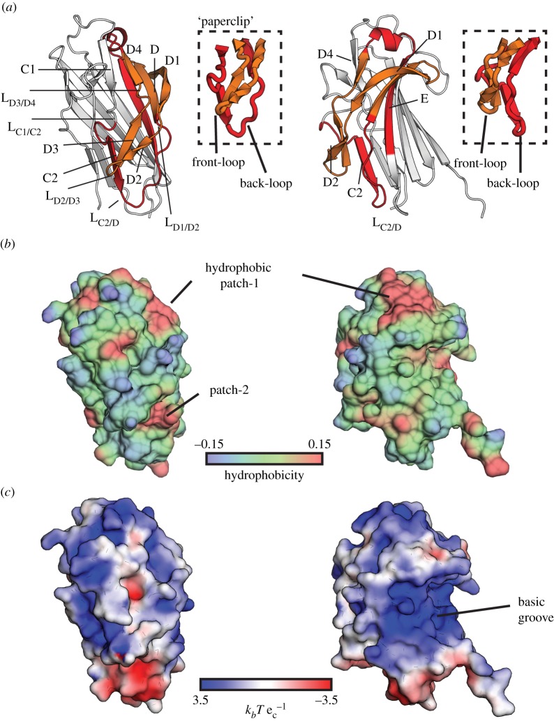 Figure 4.