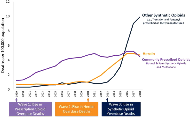 Opioids and Kidney Transplantation - PMC