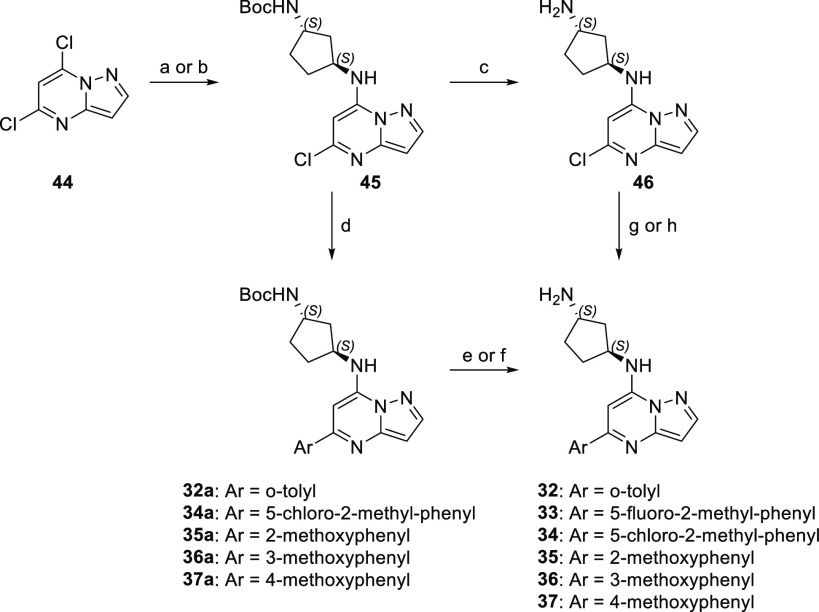 Scheme 4