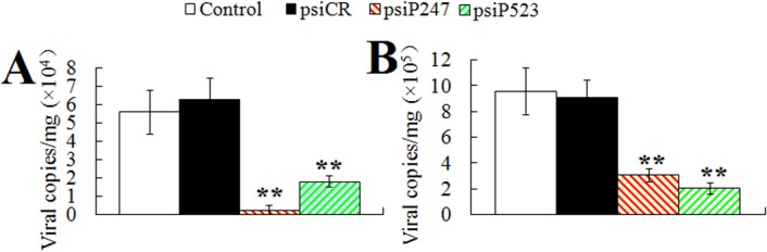 Fig 9