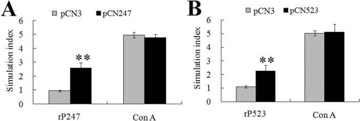 Fig 8