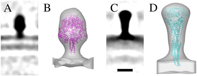 Fig. 5.