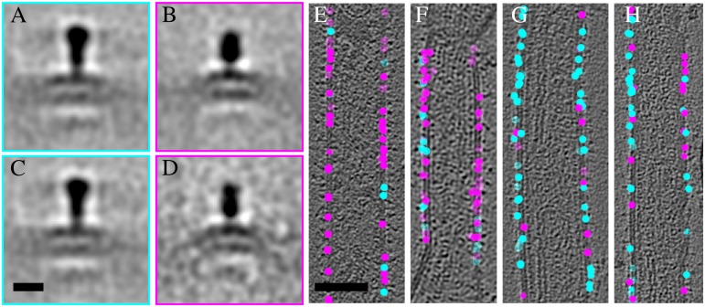 Fig. 4.