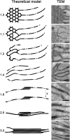Figure 8.
