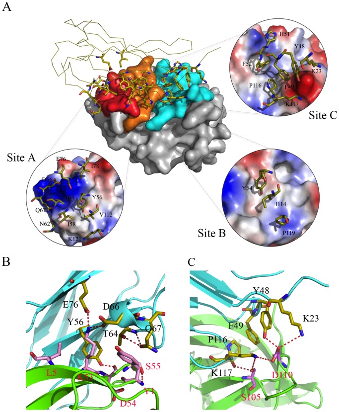 Figure 6