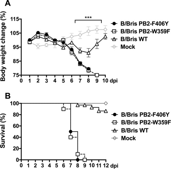 FIG 2