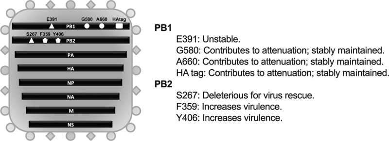 FIG 1