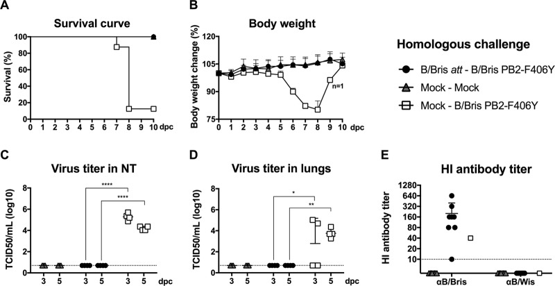 FIG 6