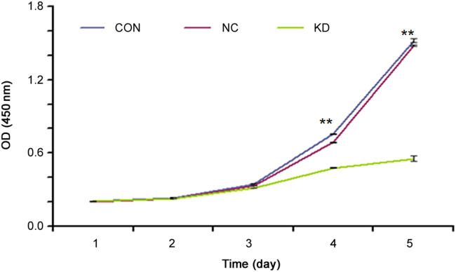 Fig. 11.