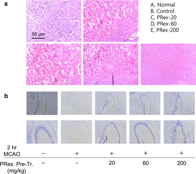 Fig. 6