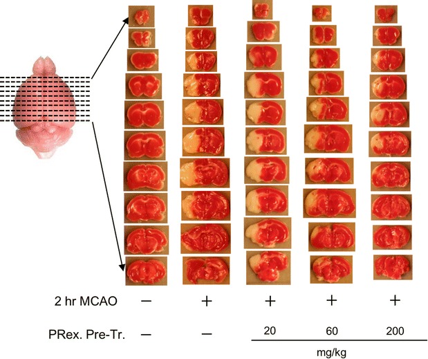 Fig. 2