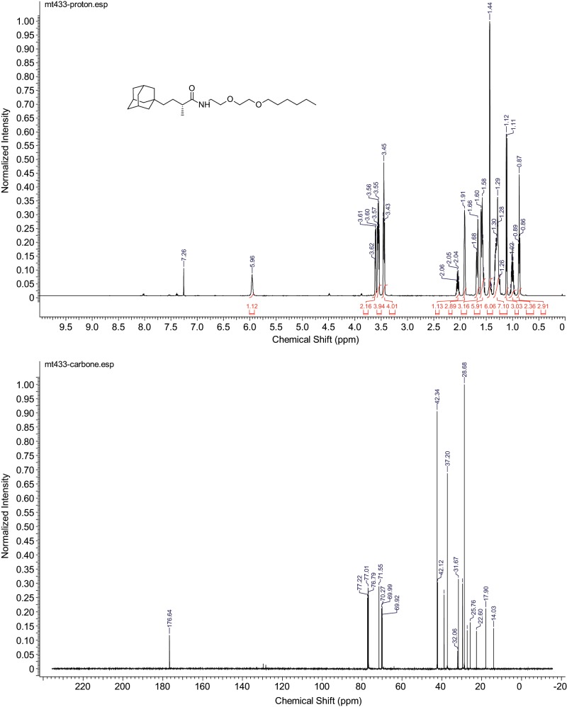 FIGURE 5: