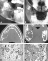 <sc>fig</sc> 1.