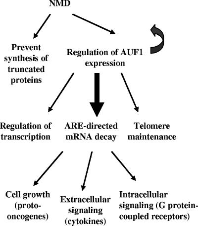 FIG. 9.