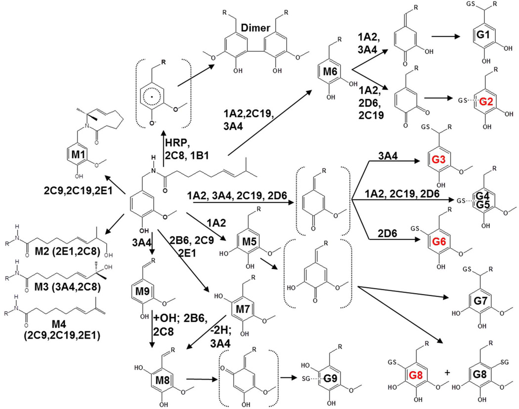 Figure 7