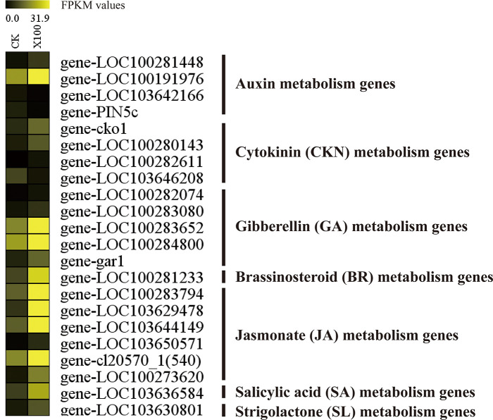 Fig 6