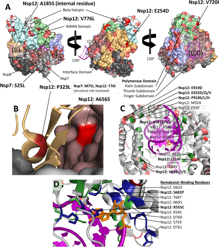 Fig. 8