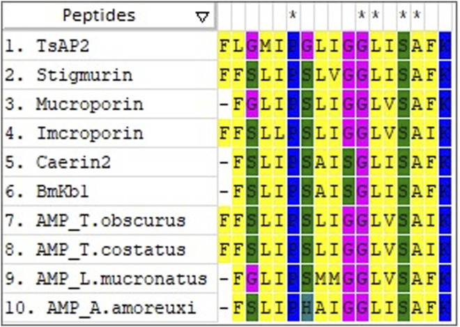 FIGURE 1