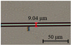 graphic file with name nanomaterials-13-02354-i001.jpg