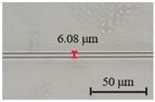 graphic file with name nanomaterials-13-02354-i004.jpg