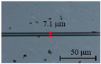 graphic file with name nanomaterials-13-02354-i003.jpg