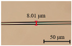 graphic file with name nanomaterials-13-02354-i002.jpg