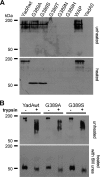 FIG. 1.