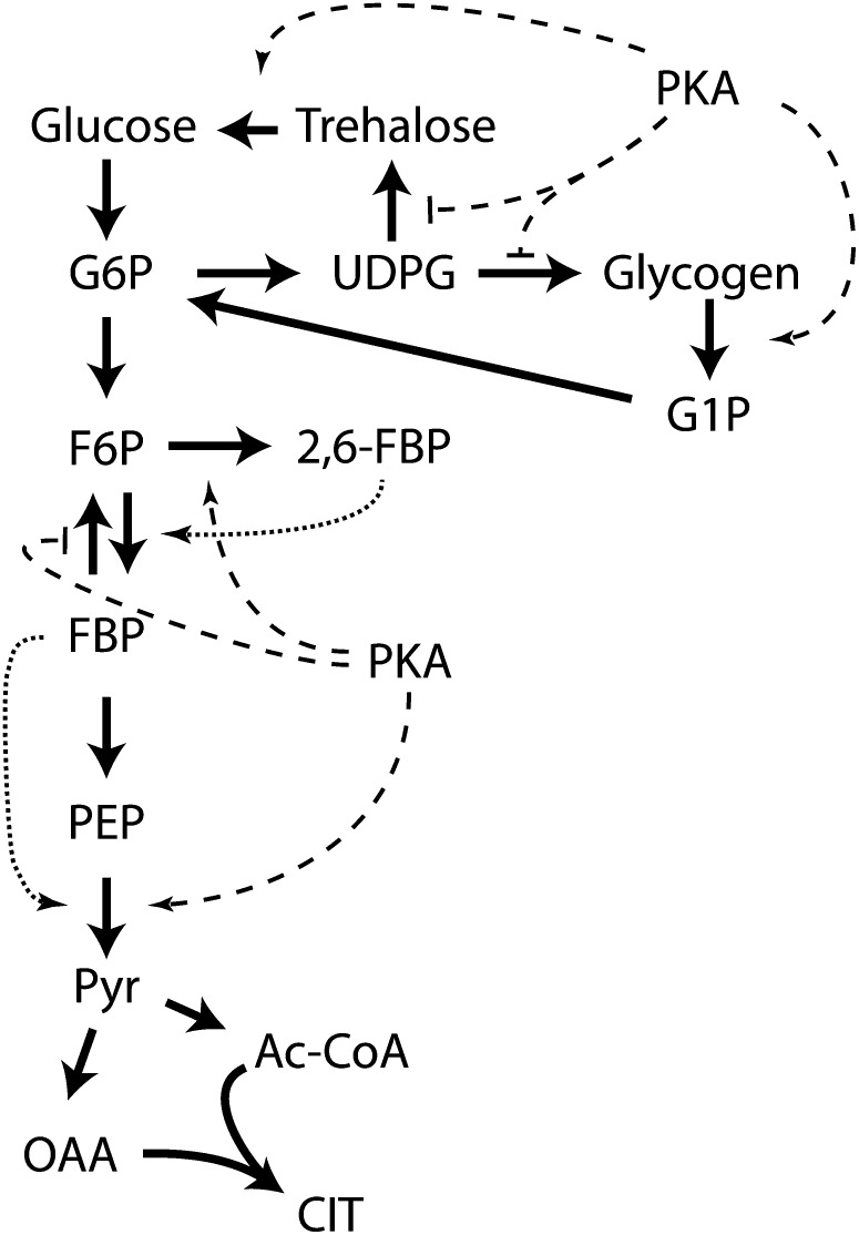 Figure 6 