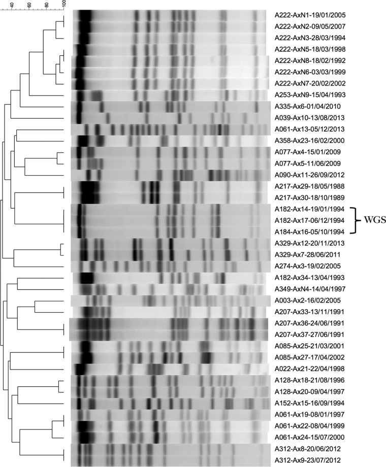 FIG 2