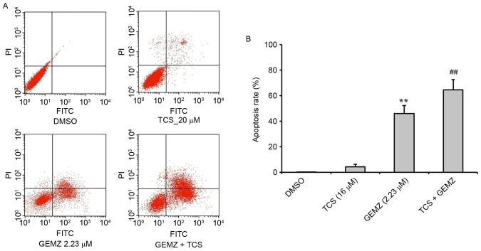 Figure 2.