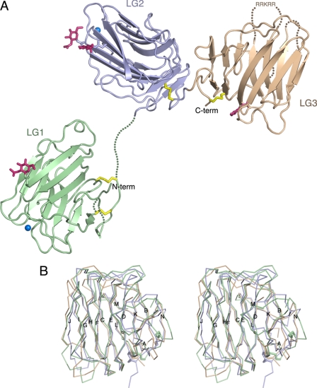 FIGURE 1.