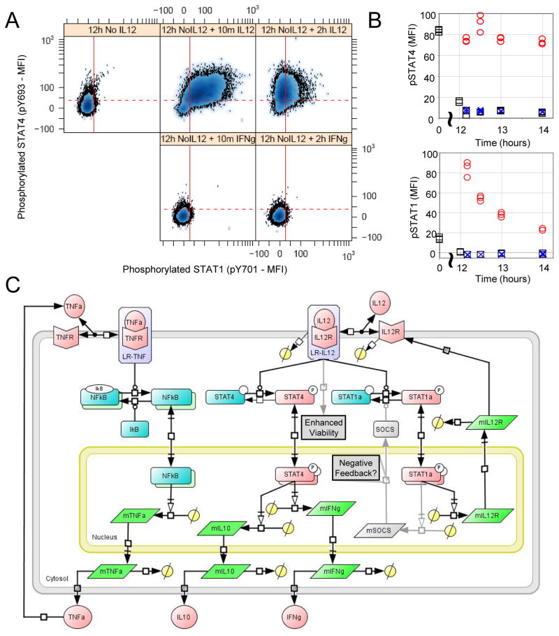 Fig. 6