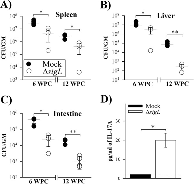 FIG 6