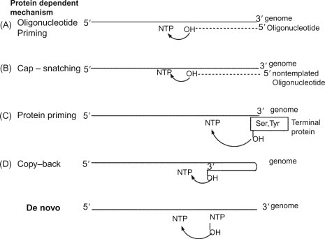 Figure 11.4