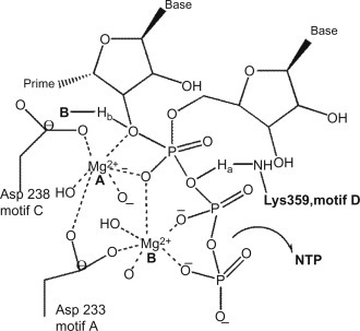 Figure 11.3