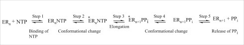 Figure 11.2