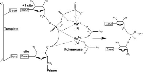 Figure 11.1