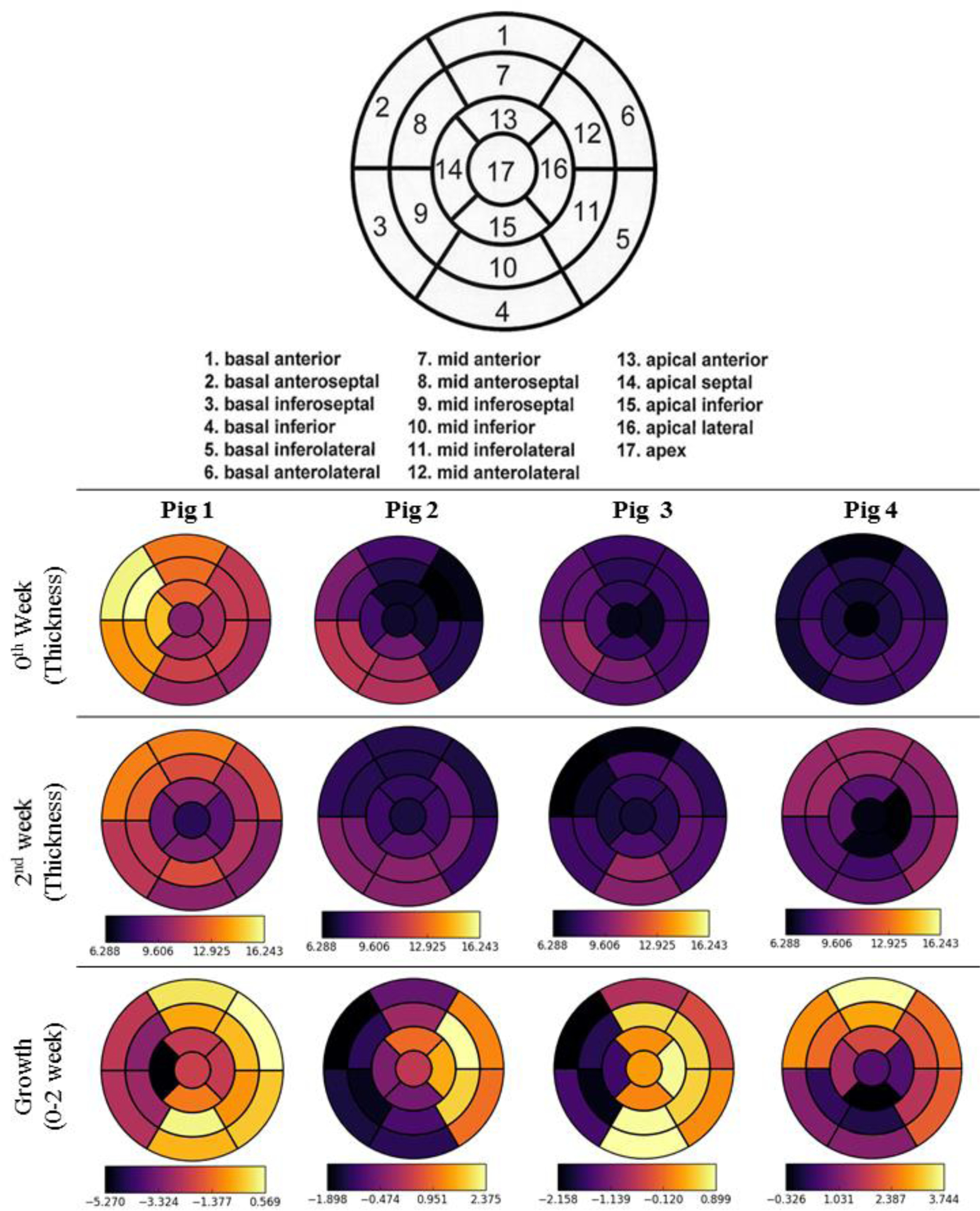 Figure 2: