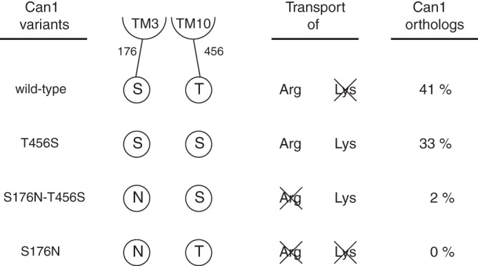 FIGURE 10.