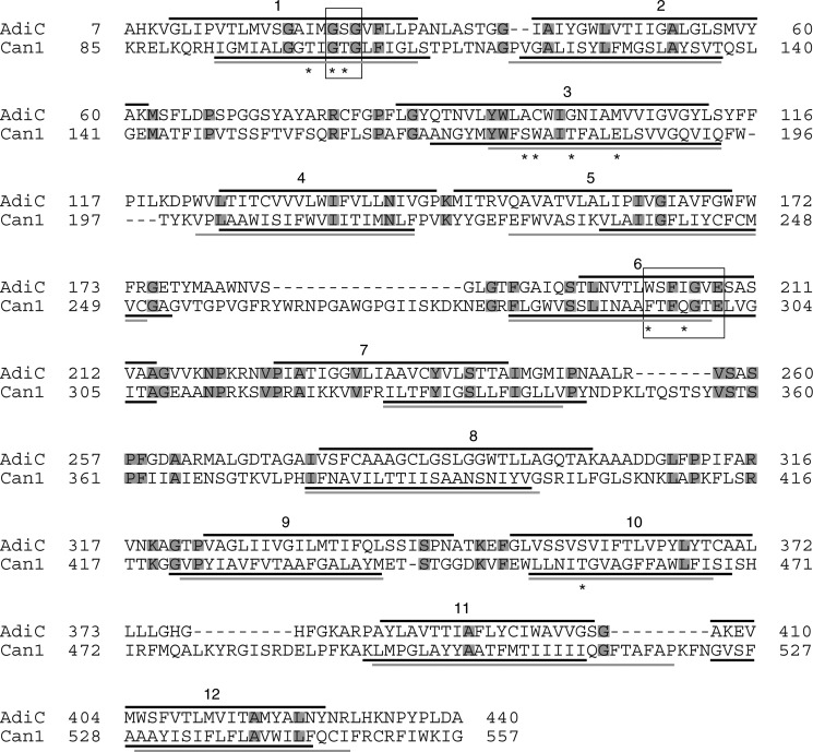 FIGURE 1.