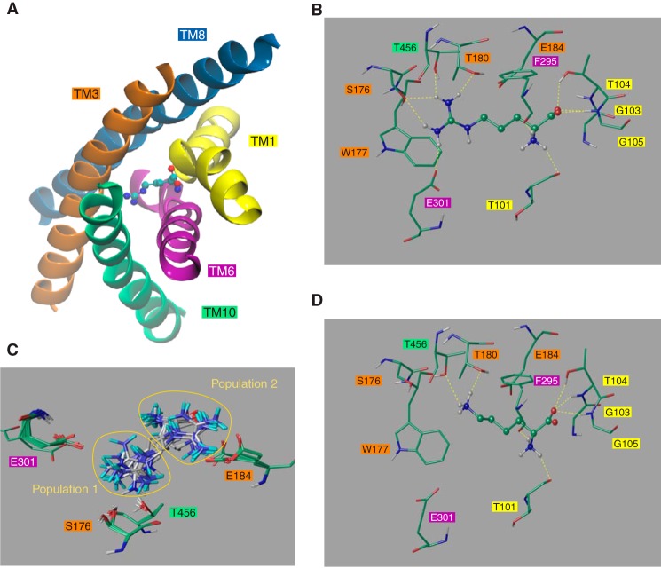 FIGURE 3.